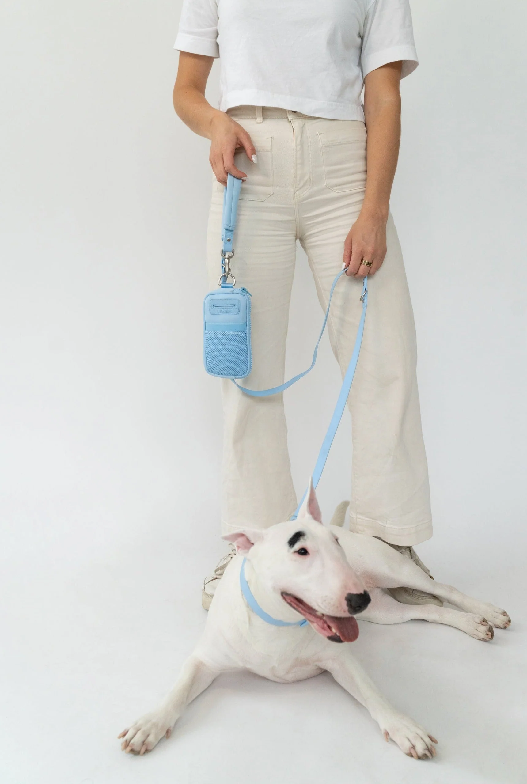 Walk Bag + Dog Leash - Image 2