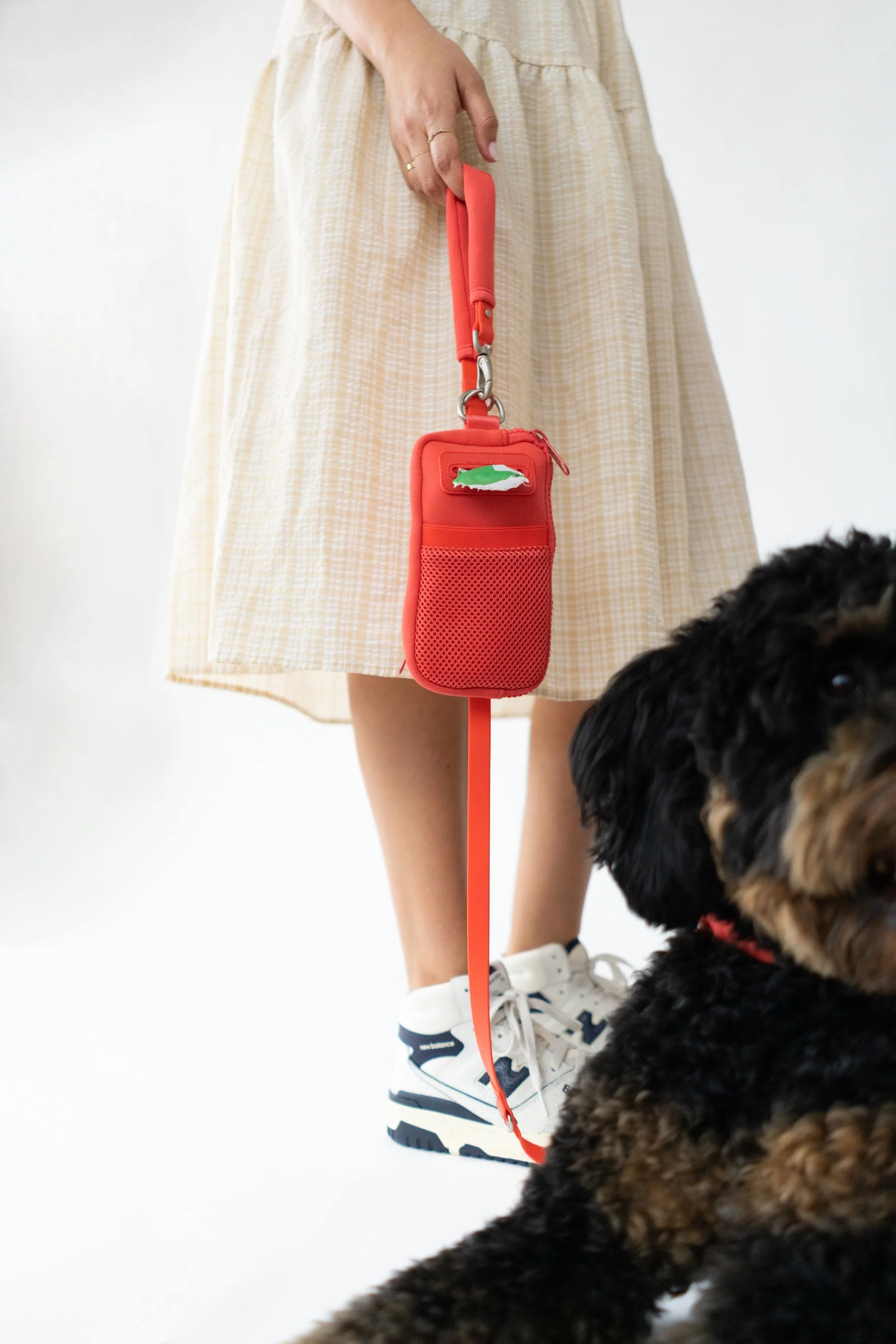 Walk Bag + Dog Leash - Image 15