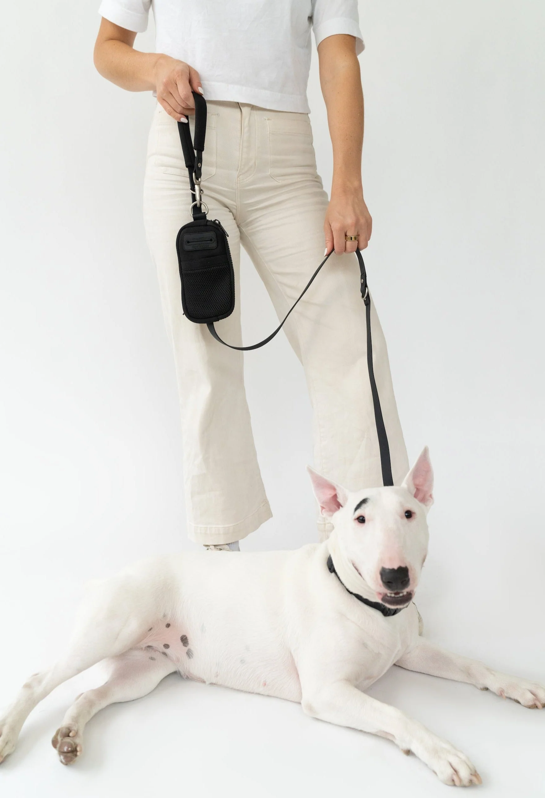 Walk Bag + Dog Leash - Image 7