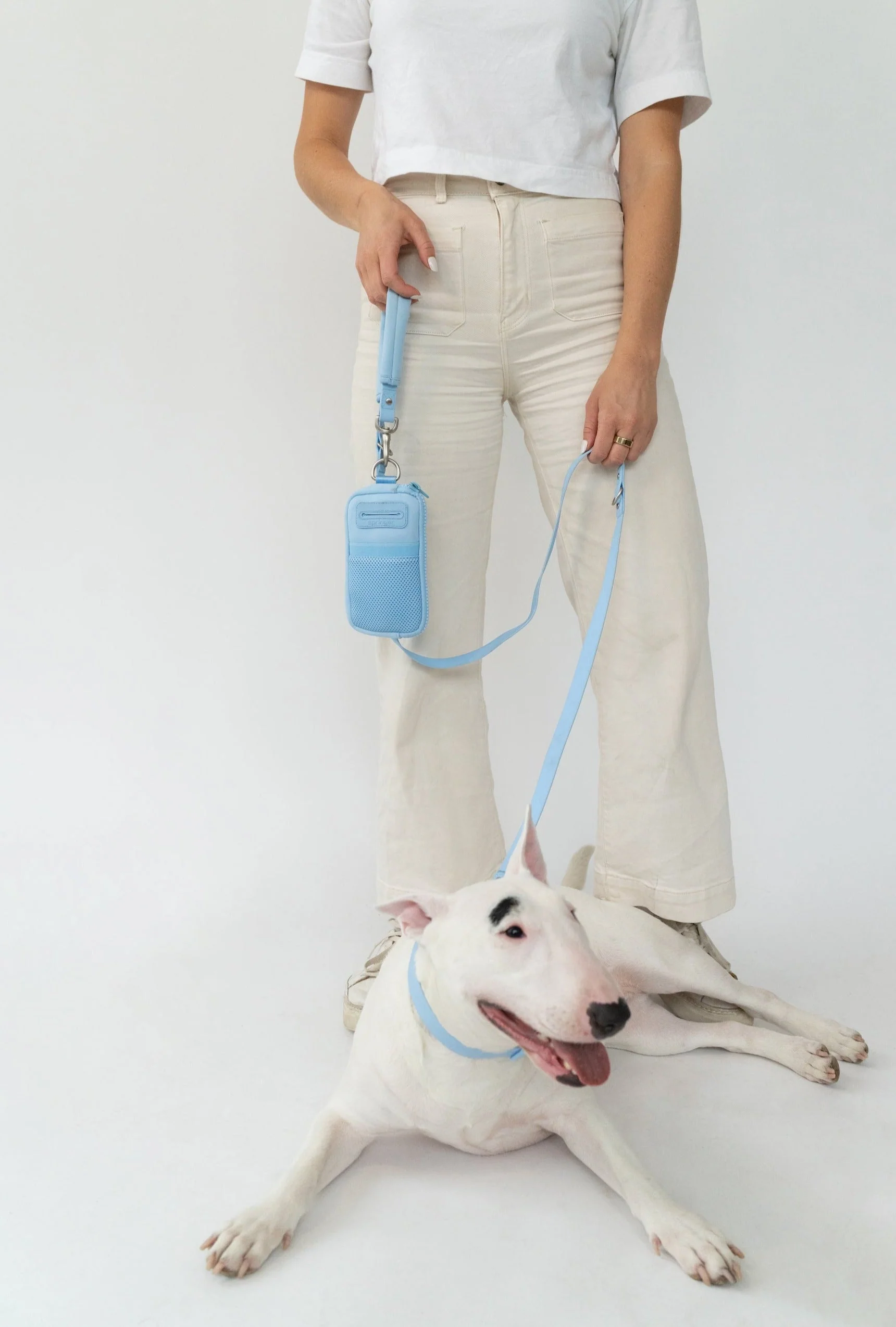 Walk Bag + Small Dog Leash - Image 6