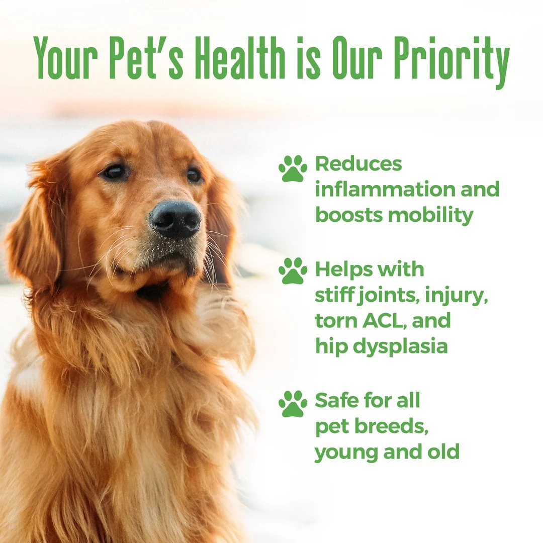 WALK-EASY™ Extra Strength Natural Pain Relief for Dogs - Helps Dog Joint Pain, Arthritis, ACL, Limping and More by BestLife4Pets - Image 3