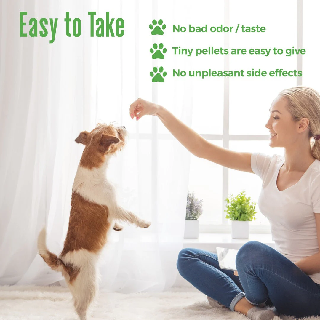 WALK-EASY™ Extra Strength Natural Pain Relief for Dogs - Helps Dog Joint Pain, Arthritis, ACL, Limping and More by BestLife4Pets - Image 4