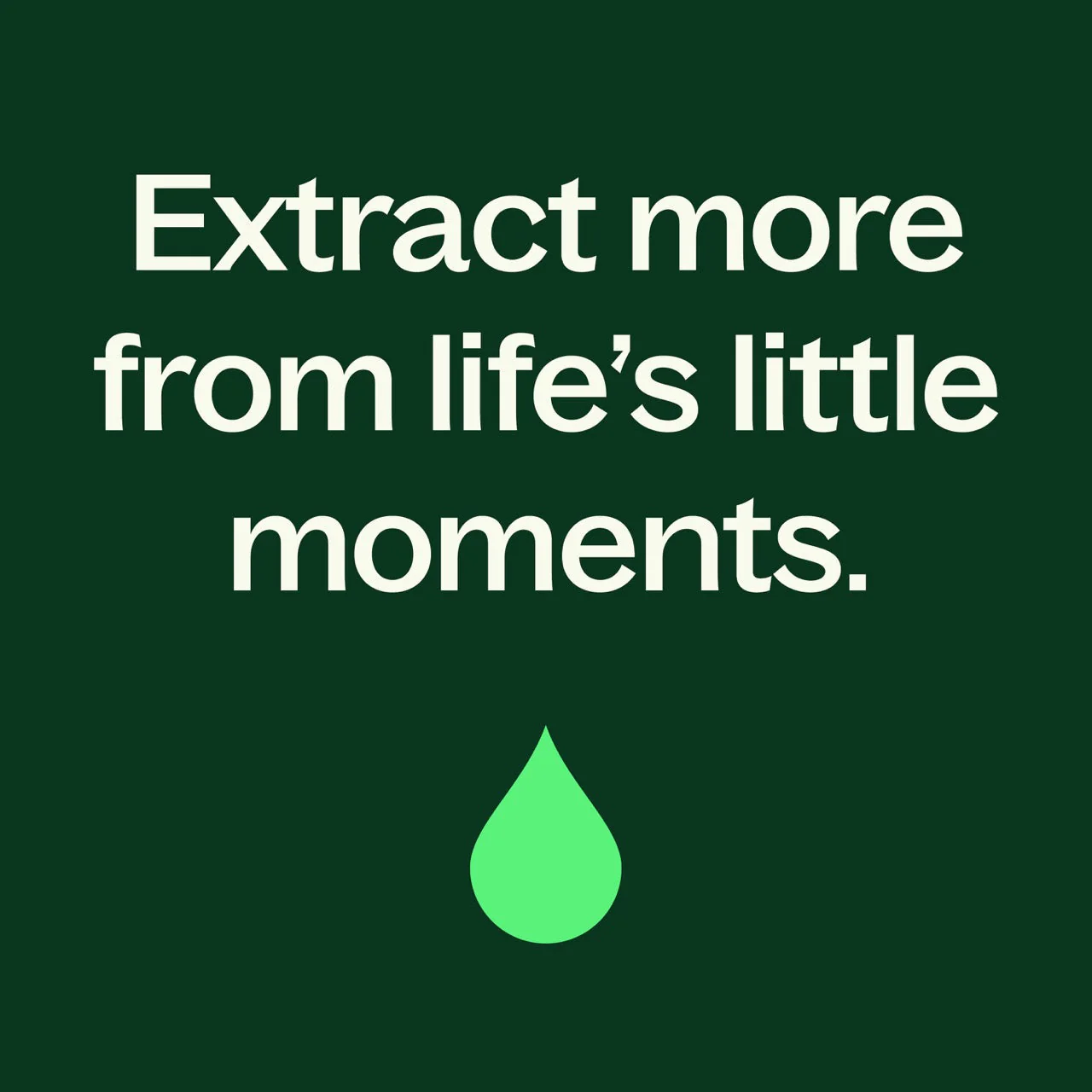 Ylang Ylang Complete Essential Oil - Image 6