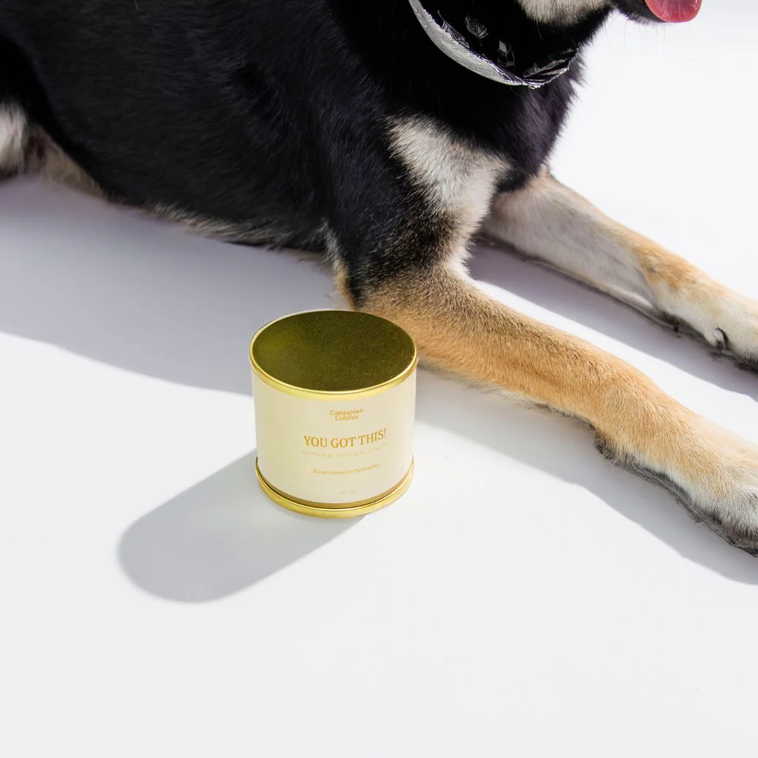 You Got This! // Citrus & Tropical Fruits by Companion Candles - Image 2