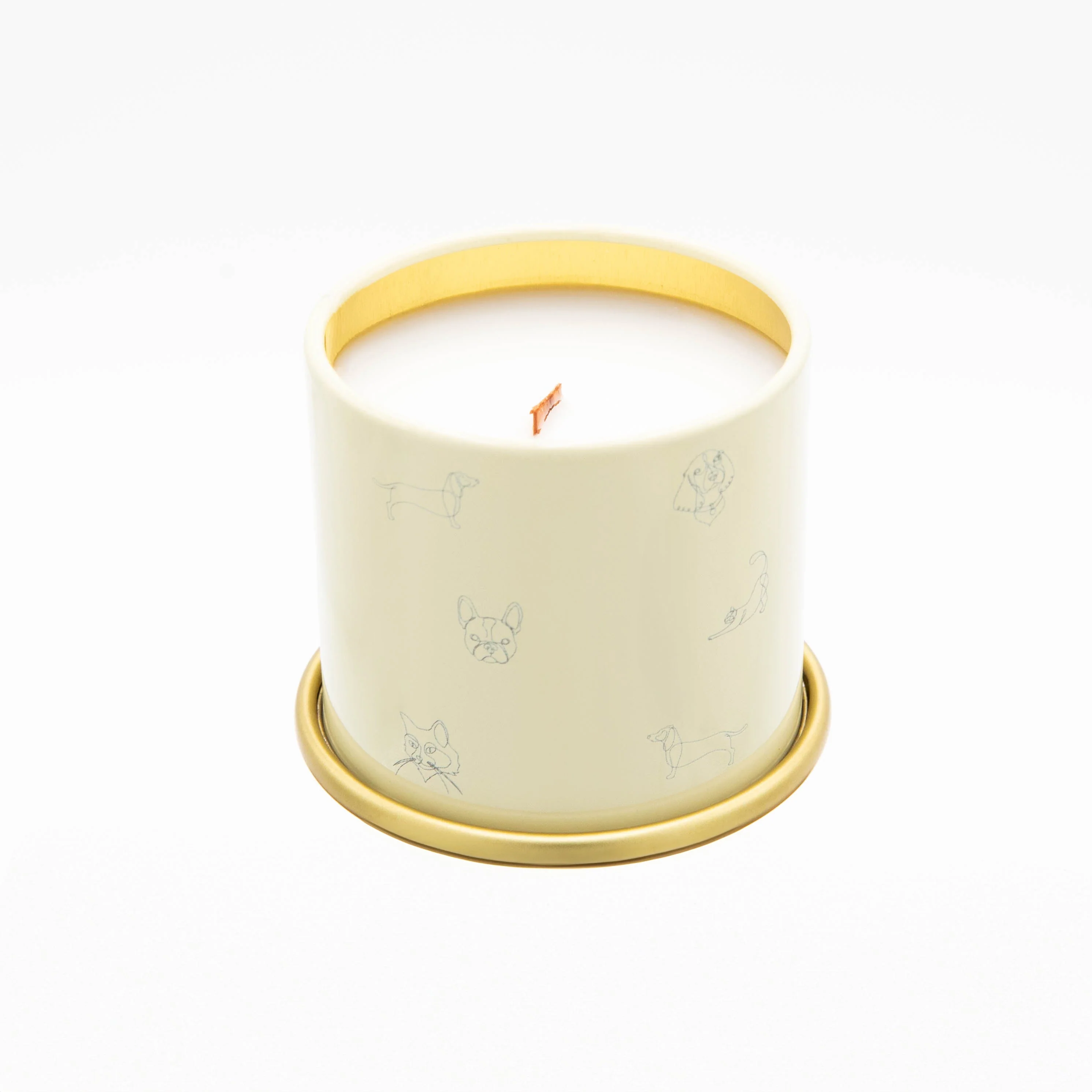 You Got This! // Citrus & Tropical Fruits by Companion Candles - Image 3